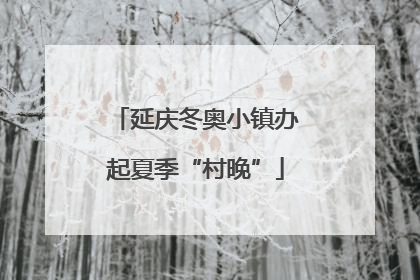 延庆冬奥小镇办起夏季“村晚”