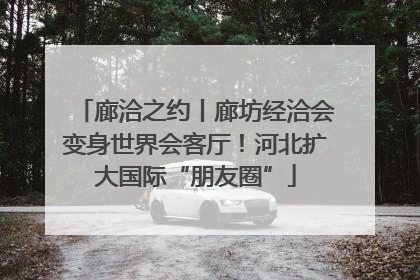 廊洽之约丨廊坊经洽会变身世界会客厅！河北扩大国际“朋友圈”