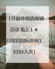 开展外商进商城活动 临沂1-4月接待国际客商13233人次