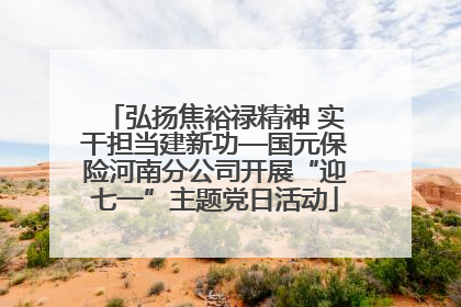弘扬焦裕禄精神 实干担当建新功—国元保险河南分公司开展“迎七一”主题党日活动