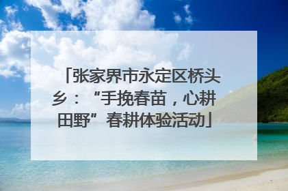 张家界市永定区桥头乡：“手挽春苗，心耕田野”春耕体验活动