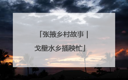 张掖乡村故事｜戈壁水乡插秧忙