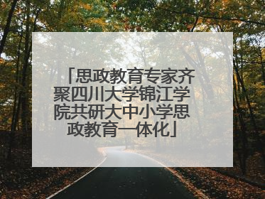 思政教育专家齐聚四川大学锦江学院共研大中小学思政教育一体化