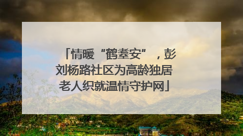 情暖“鹤耋安”，彭刘杨路社区为高龄独居老人织就温情守护网