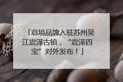 意境品牌入驻苏州吴江震泽古镇，“震泽四宝”对外发布！