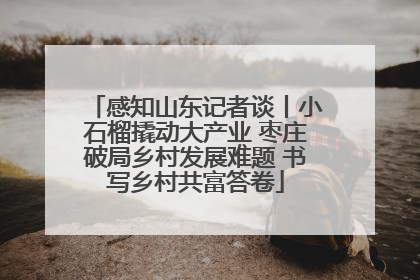 感知山东记者谈丨小石榴撬动大产业 枣庄破局乡村发展难题 书写乡村共富答卷