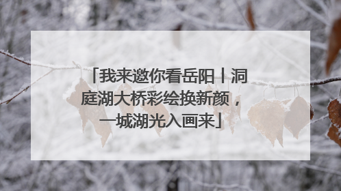 我来邀你看岳阳丨洞庭湖大桥彩绘换新颜，一城湖光入画来