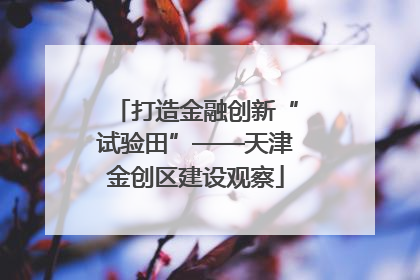 打造金融创新“试验田”——天津金创区建设观察