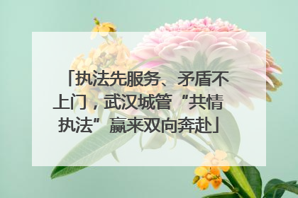 执法先服务、矛盾不上门，武汉城管“共情执法”赢来双向奔赴