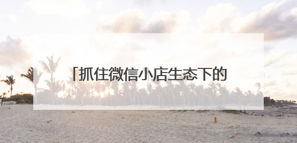 抓住微信小店生态下的推客“躺赚”新机遇