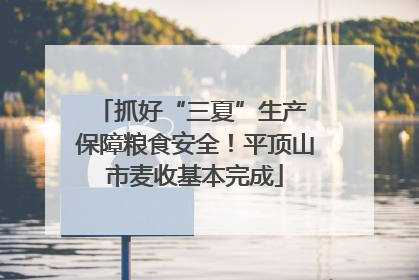 抓好“三夏”生产 保障粮食安全！平顶山市麦收基本完成