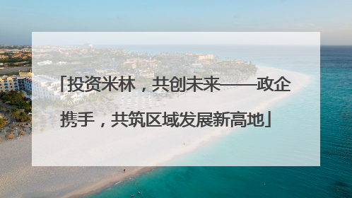 投资米林，共创未来——政企携手，共筑区域发展新高地