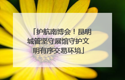 护航南博会！昆明城管坚守展馆守护文明有序交易环境