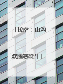 拉萨：山沟欢腾赛牦牛