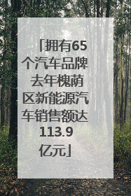 拥有65个汽车品牌 去年槐荫区新能源汽车销售额达113.9亿元