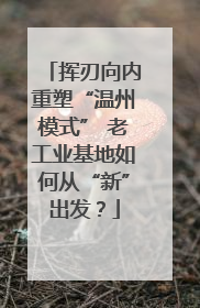 挥刃向内重塑“温州模式” 老工业基地如何从“新”出发？