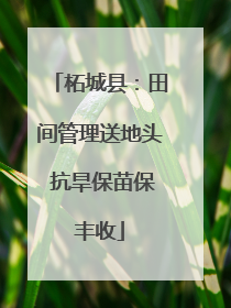 柘城县：田间管理送地头 抗旱保苗保丰收