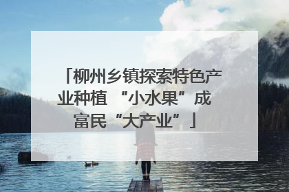 柳州乡镇探索特色产业种植 “小水果”成富民“大产业”