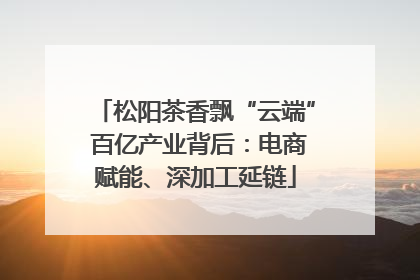 松阳茶香飘“云端” 百亿产业背后：电商赋能、深加工延链