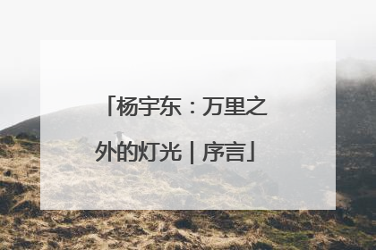 杨宇东：万里之外的灯光｜序言