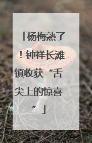 杨梅熟了！钟祥长滩镇收获“舌尖上的惊喜”