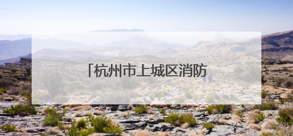 杭州市上城区消防救援大队绘就基层消防治理新图景