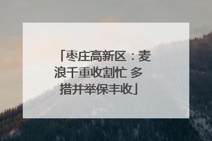 枣庄高新区：麦浪千重收割忙 多措并举保丰收