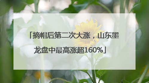 摘帽后第二次大涨，山东墨龙盘中最高涨超160%