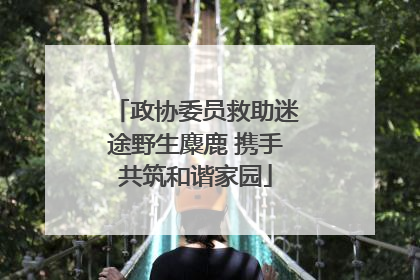 政协委员救助迷途野生麋鹿 携手共筑和谐家园