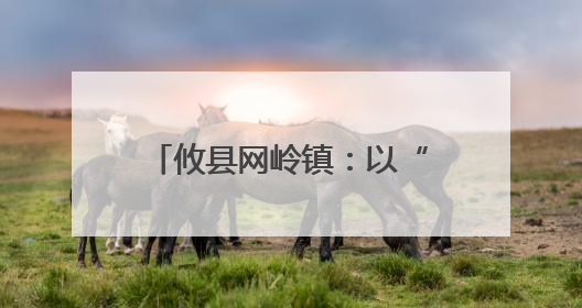 攸县网岭镇：以“党建红”筑牢乡村教育“安全绿”