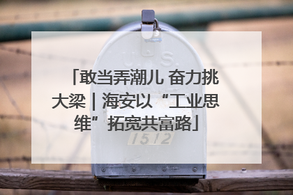 敢当弄潮儿 奋力挑大梁｜海安以“工业思维”拓宽共富路