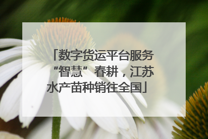 数字货运平台服务“智慧”春耕，江苏水产苗种销往全国