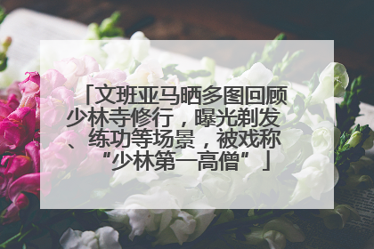 文班亚马晒多图回顾少林寺修行，曝光剃发、练功等场景，被戏称“少林第一高僧”