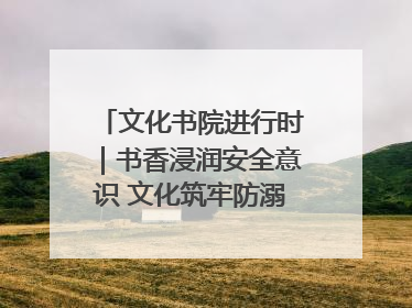 文化书院进行时｜书香浸润安全意识 文化筑牢防溺屏障——辛城社区开展防溺水主题宣传活动