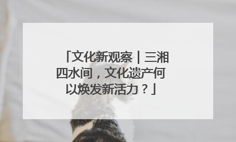 文化新观察｜三湘四水间，文化遗产何以焕发新活力？