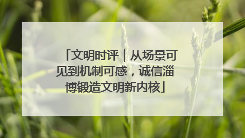 文明时评｜从场景可见到机制可感，诚信淄博锻造文明新内核