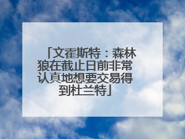 文霍斯特：森林狼在截止日前非常认真地想要交易得到杜兰特