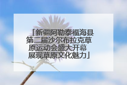 新疆阿勒泰福海县第二届沙尔布拉克草原运动会盛大开幕 展现草原文化魅力