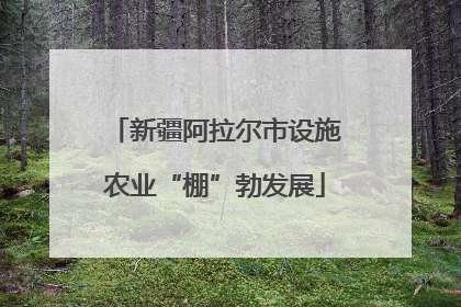 新疆阿拉尔市设施农业“棚”勃发展