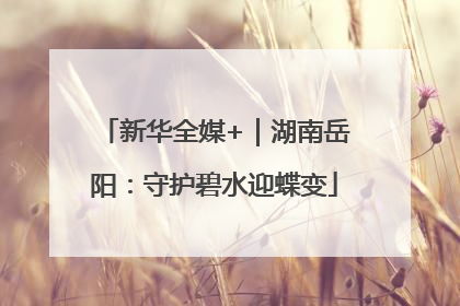 新华全媒+｜湖南岳阳：守护碧水迎蝶变