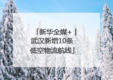 新华全媒+｜武汉新增10条低空物流航线