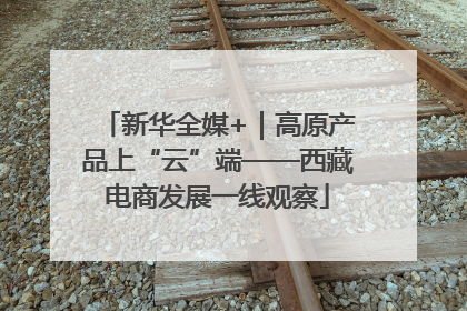 新华全媒+｜高原产品上“云”端——西藏电商发展一线观察