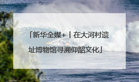 新华全媒+丨在大河村遗址博物馆寻溯仰韶文化
