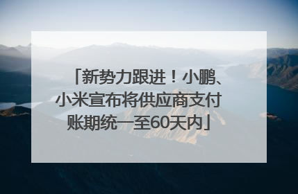 新势力跟进！小鹏、小米宣布将供应商支付账期统一至60天内