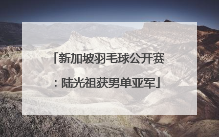新加坡羽毛球公开赛：陆光祖获男单亚军