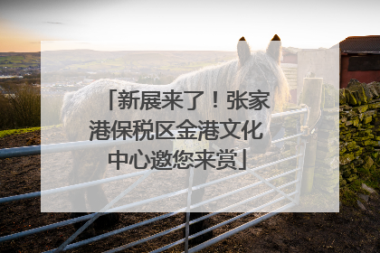 新展来了！张家港保税区金港文化中心邀您来赏