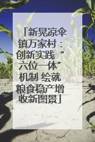新晃凉伞镇万家村：创新实践“六位一体”机制 绘就粮食稳产增收新图景