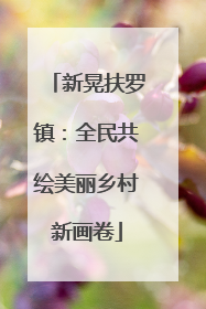 新晃扶罗镇：全民共绘美丽乡村新画卷