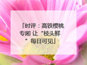 时评：高铁樱桃专厢 让“枝头鲜”每日可见