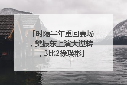 时隔半年重回赛场，樊振东上演大逆转，3比2徐瑛彬